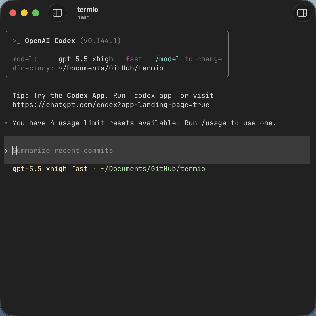 Codex running in Termio