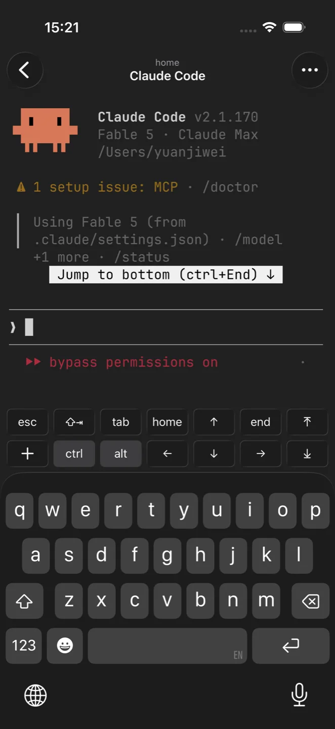 The key bar with esc, tab, ctrl, and arrows above the iPhone keyboard