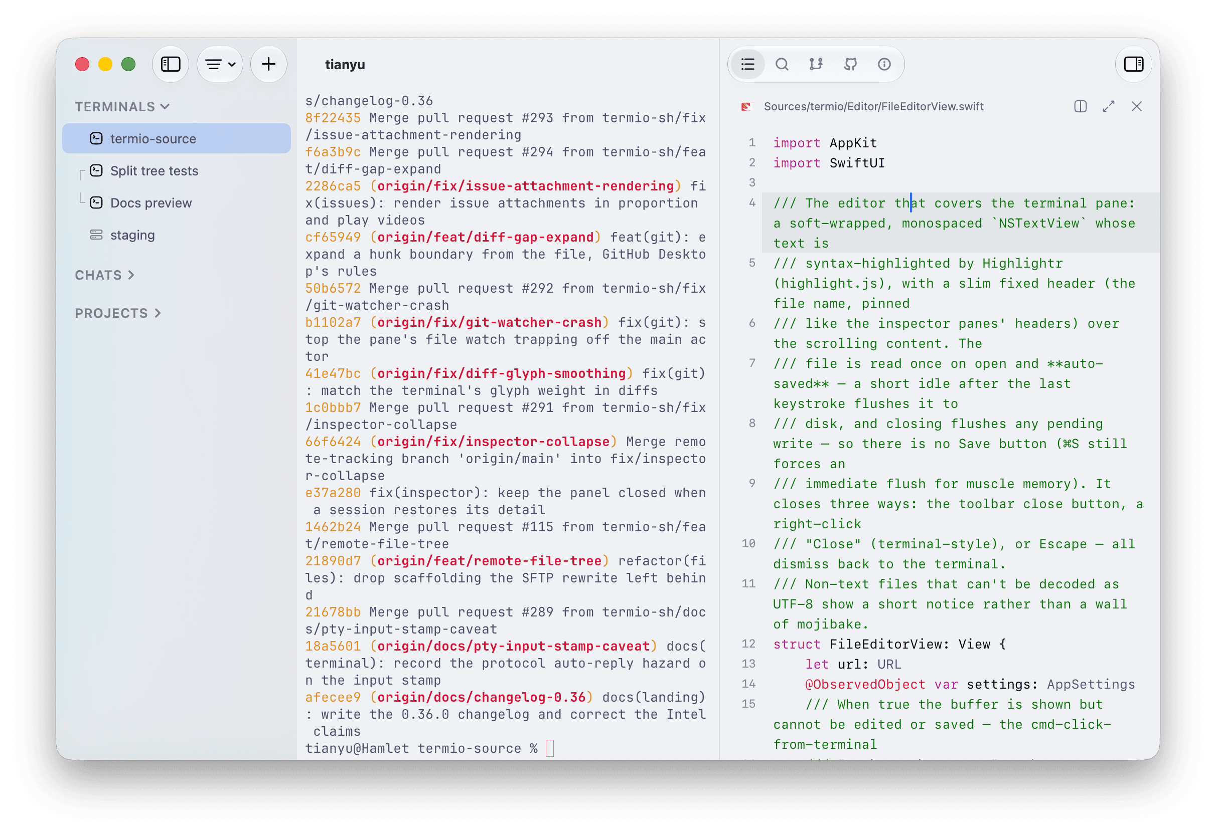 The Termio Files inspector with a Swift file selected and open in the syntax-highlighted editor beside a terminal