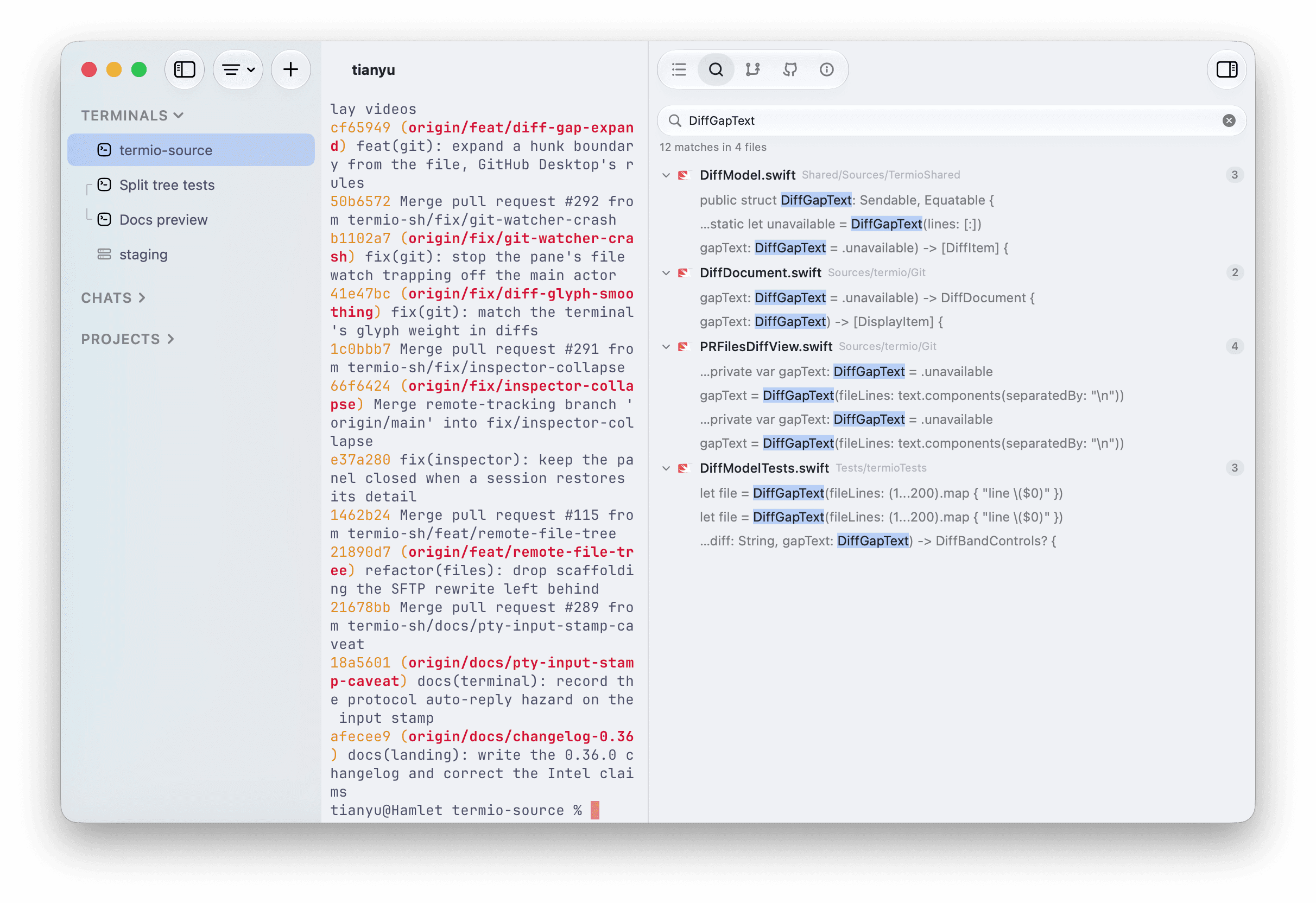 The Termio Search inspector showing a DiffGapText query, grouped matches across files, and highlighted matching text