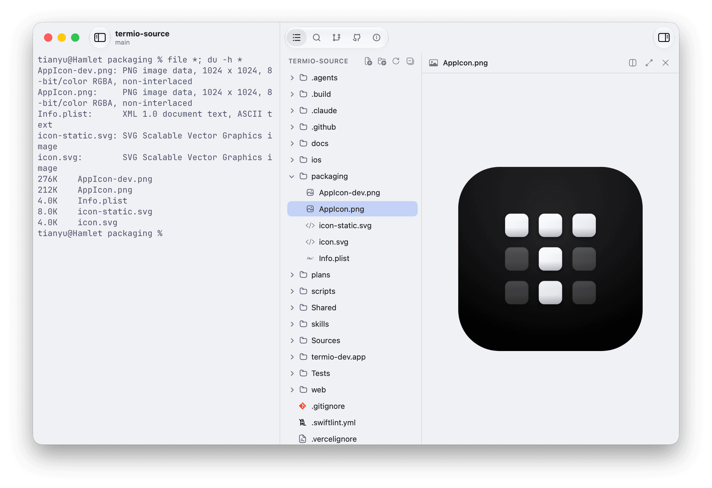 A file selected in the Termio Files inspector with its image open in a read-only Quick Look preview
