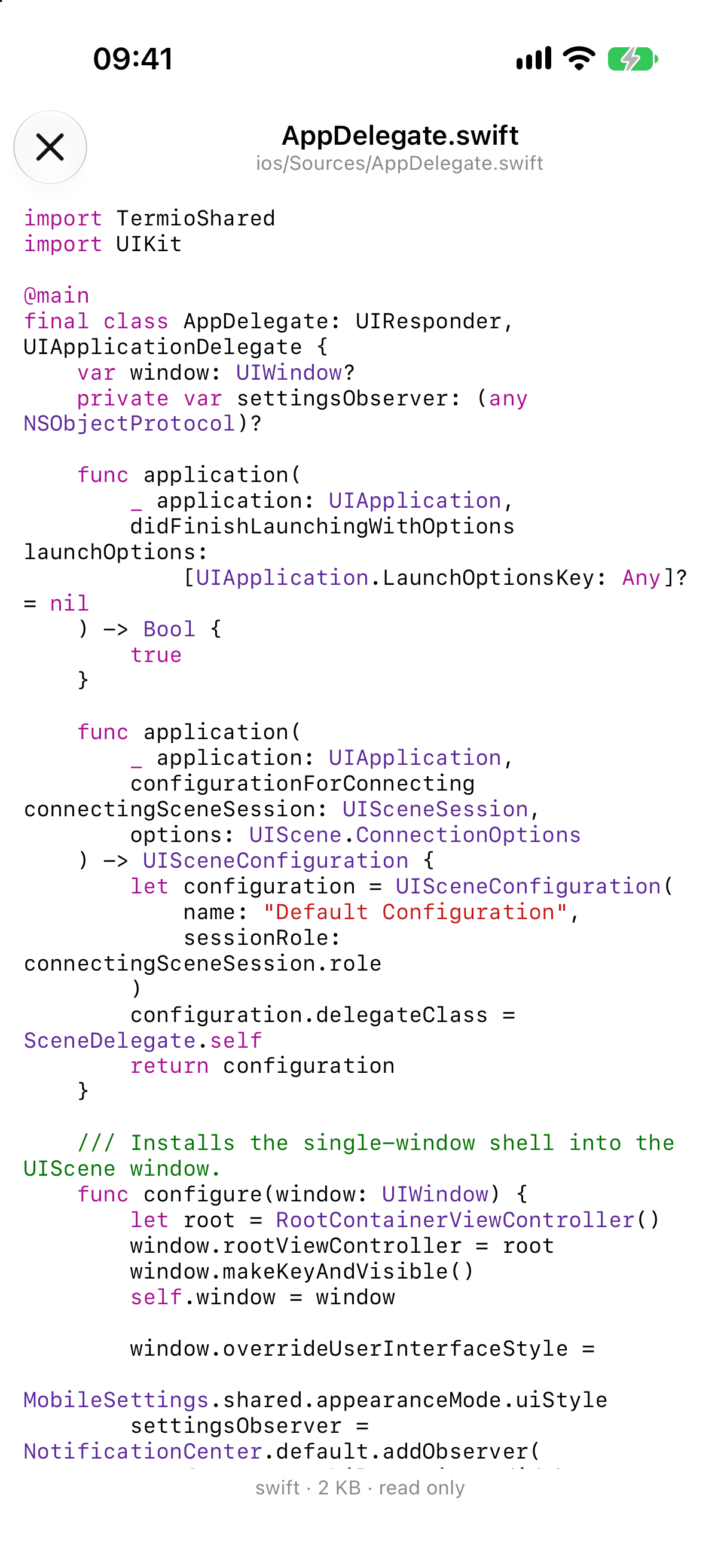 Termio on iPhone showing a read-only syntax-highlighted Swift file preview with file metadata